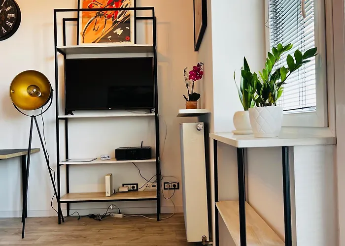Lazienki Krolewskie Studio Z Antresola I Widokiem