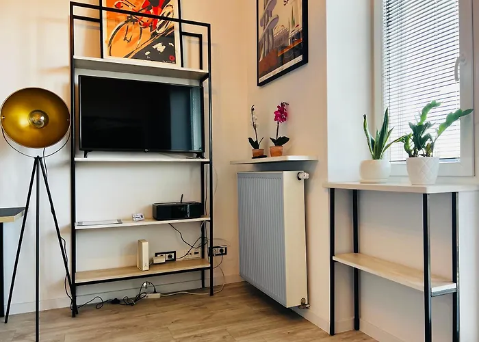 Lazienki Krolewskie Studio Z Antresola I Widokiem